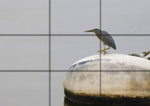 rule of thirds photography tips