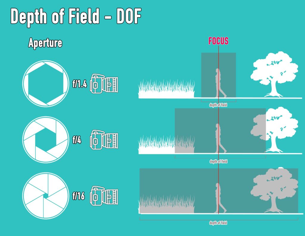 dslr photography for beginners with depth of field illustration