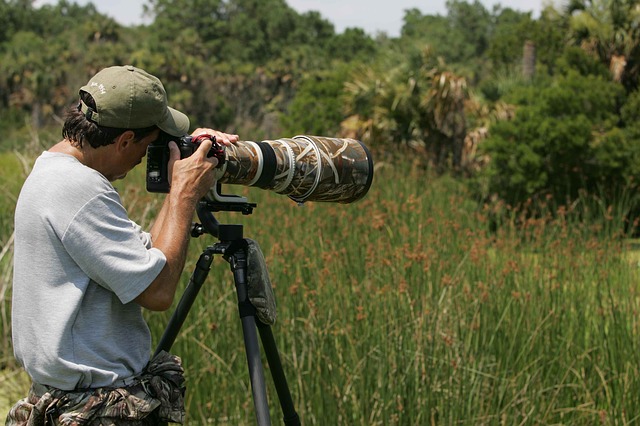 Wildlife Photography Gear