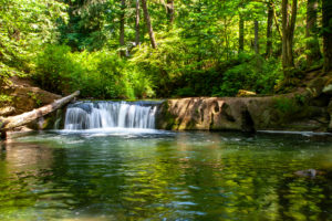 Whatcom Falls, Bellingham, WA