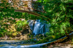 Whatcom Falls, Bellingham, WA